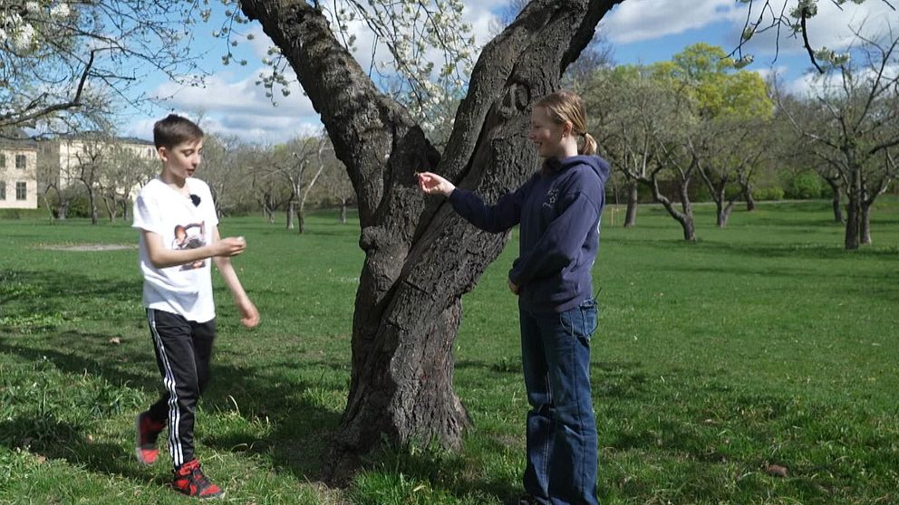 Thelise Nilsson och Lucas Andrée leker under ett träd i en park på våren. Men när pollensäsongen är som mest intensiv, väljer de ibland att leka inomhus i stället.