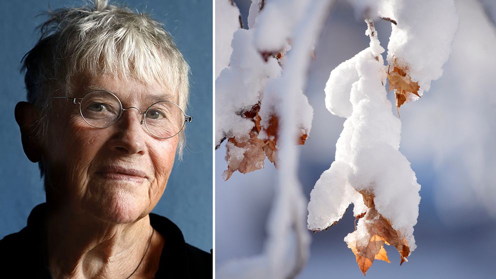 Ingela Strandberg till vänster. Snötäckta löv till höger.