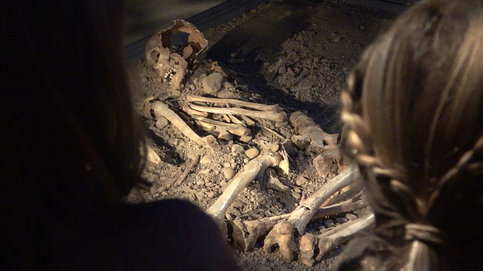 Två flickor i förgrunden som tittar på ett skelett från en forntida grav