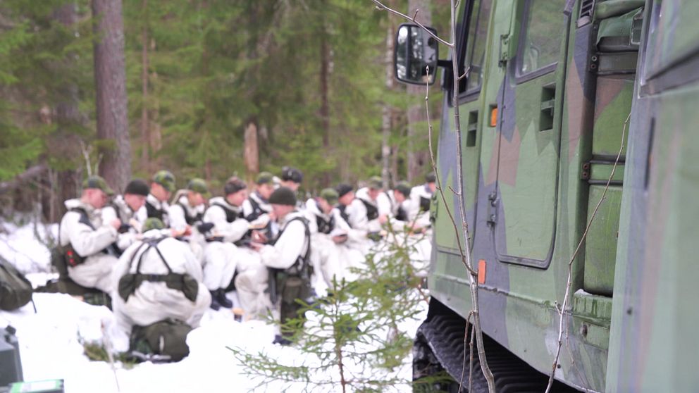 värnpliktiga i skogen