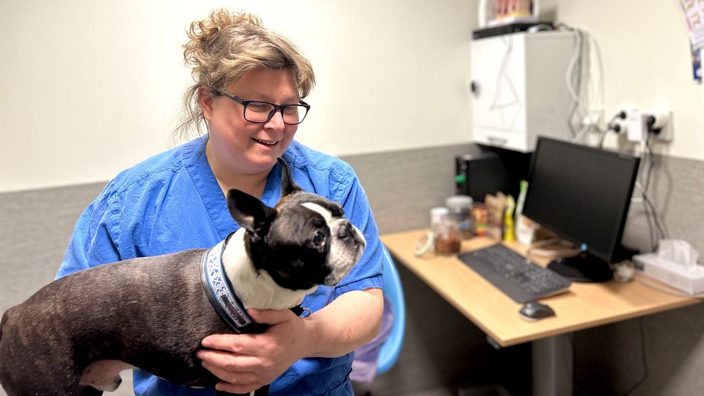 Veterinären Jonna Peterson håller i en svartvit hund i ett undersökningsrum.