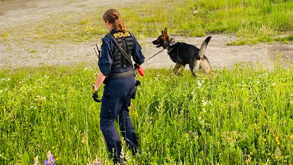Polis med hund söker utomhus efter misstänkt mord i Kramfors kommun