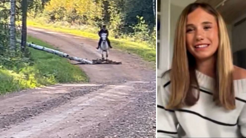 splitbild med träd som faller framför häst och med flicka till göher