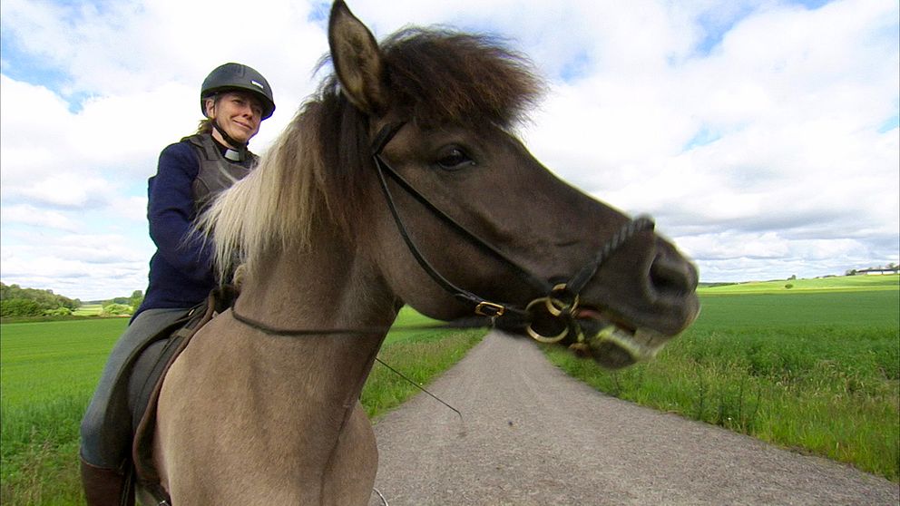En präst som rider en brun häst utomhus.
