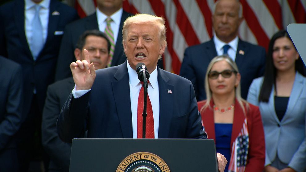 Donald Trump | SVT Nyheter