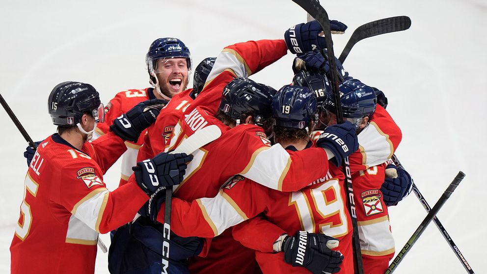 Florida Panthers