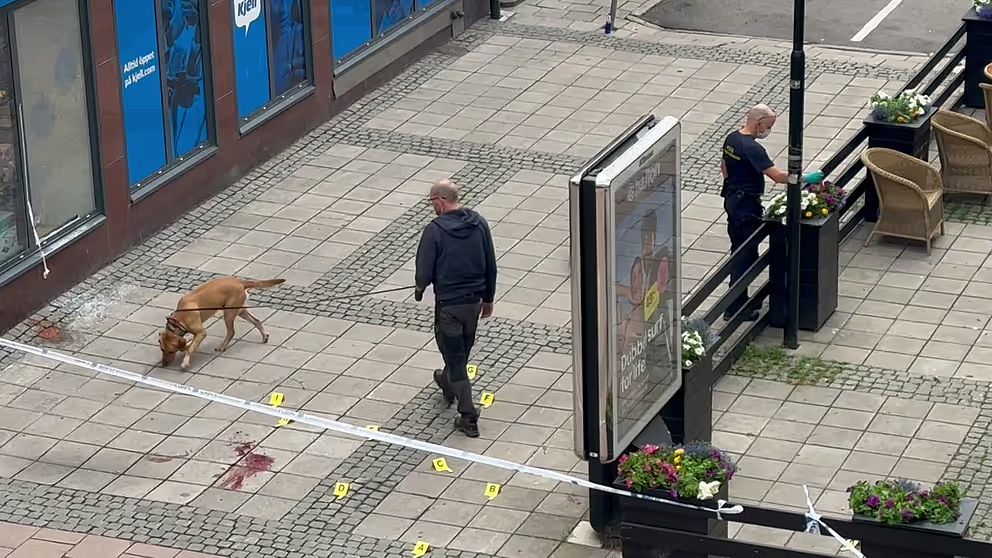 poliser och polishund söker av brottsplats