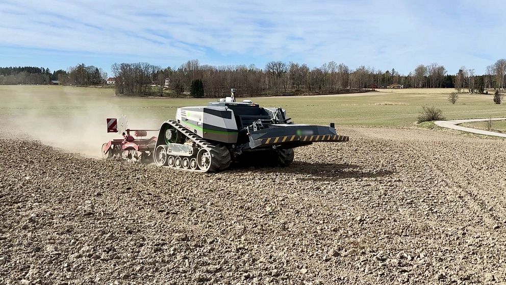 Eriks AI-robot rensar ogräs på grönsaksfält – sparar minst 100 ...