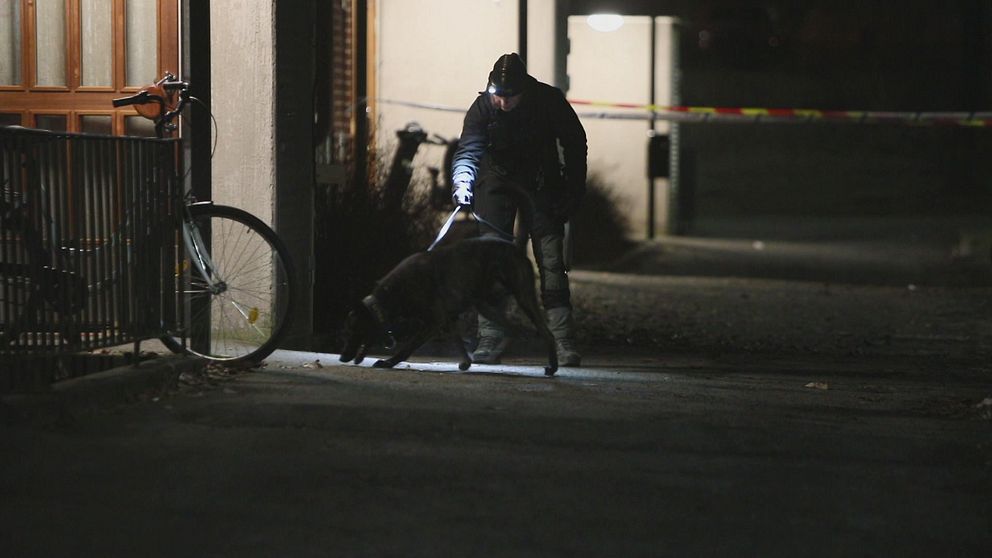 polishund och polis söker utanför ett flerfamiljshus i mörker