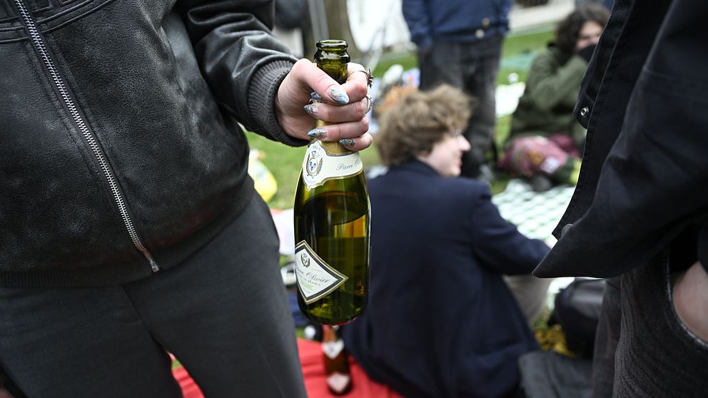 En person håller en vinflaska vid en picknick med sittande personer i bakgrunden.