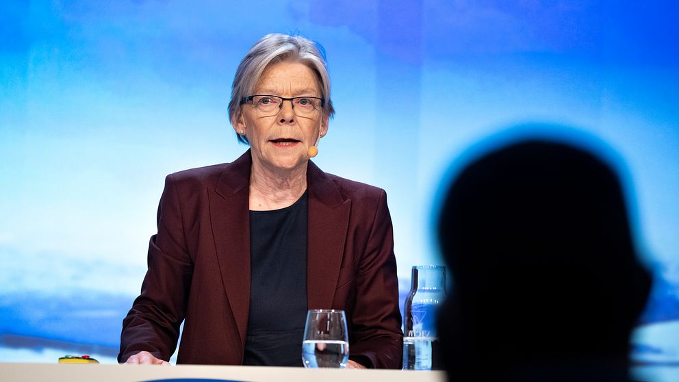 Docent Gudrun Persson har dragning om Rysslands krig på Folk och Försvars rikskonferens