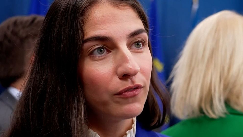 Klimat- och miljöminister Romina Pourmokhtari (L)