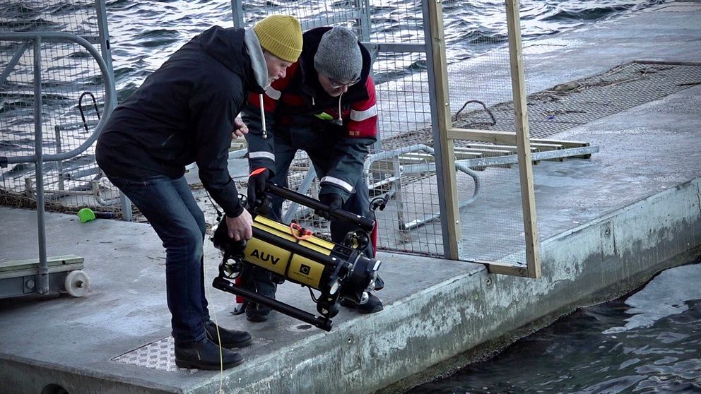 Två personer står vid en brygga och förbereder att sänka ett autonomt undervattensfordon (AUV) i vattnet. Den ena personen håller i AUV:en medan den andra assisterar med nedsläppet. Bakgrunden visar vågigt vatten och en del av bryggan.