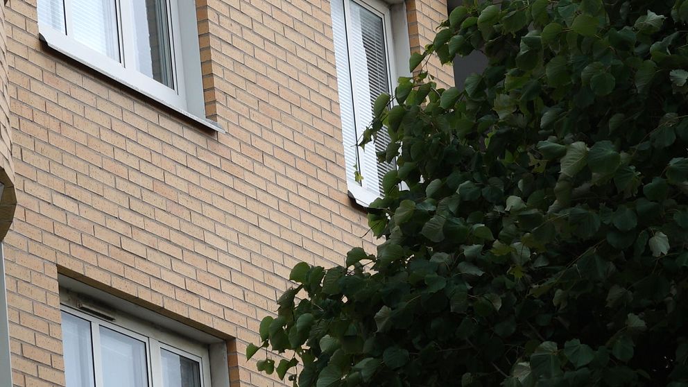 Flerfamiljshus med ett träd framför