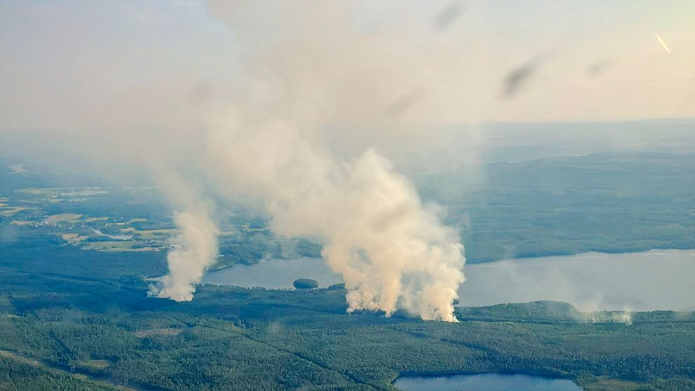 Brandrök stiger ur skogen, sett från flygplan.