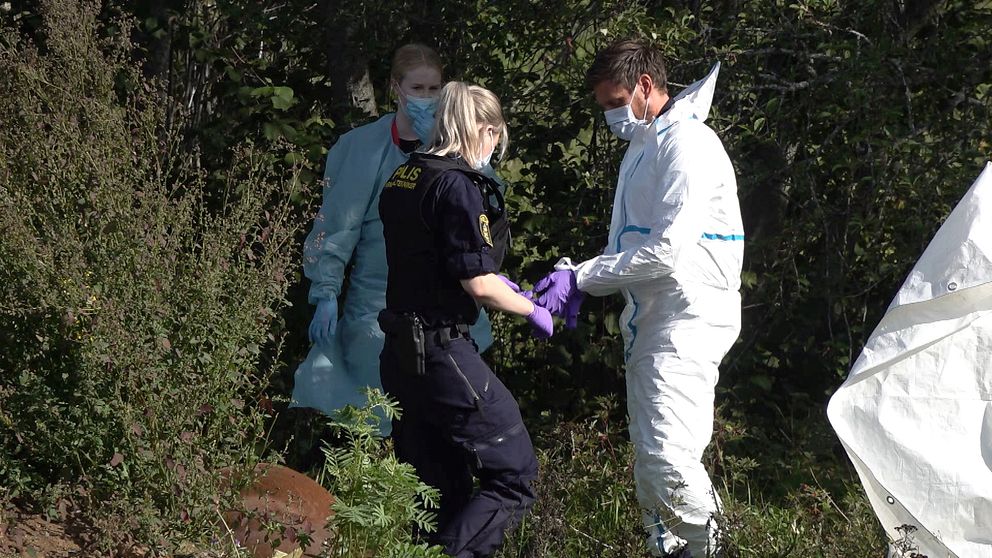 Polis, veterinär och tekniker vid den döda hästen.