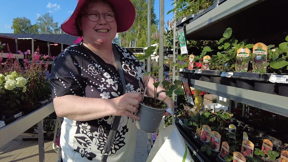 en kvinna i rosa hatt som ska köpa blommor på en blomsterhandel