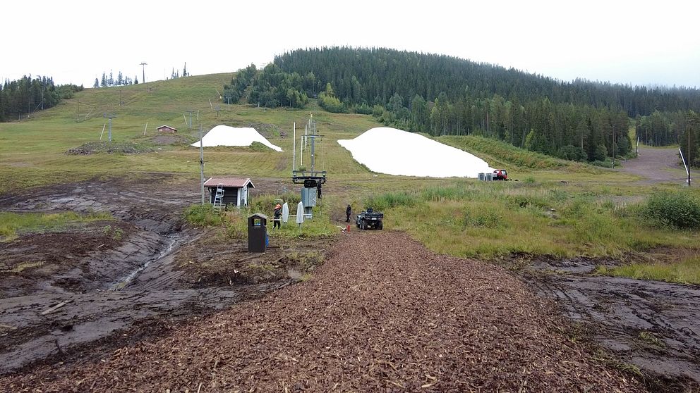 En grön skidbacke – i mitten av backen ligger två högar, övertäckta med en vit platsduk. Under plastdukarna finns det sparad snö från förra vintersäsongen.