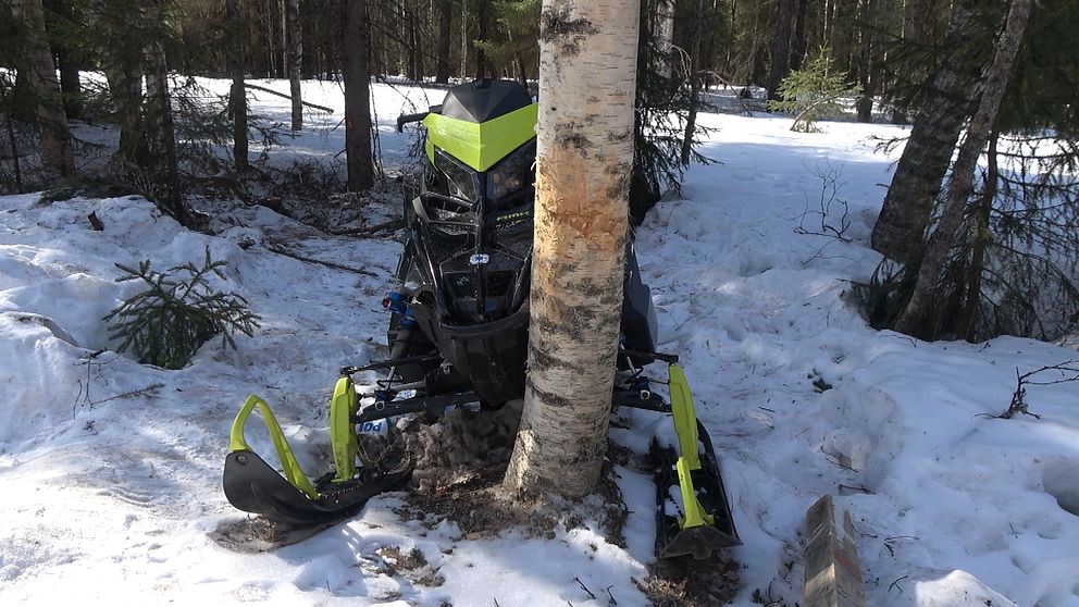 Skoter fast i ett träd i Luleå.