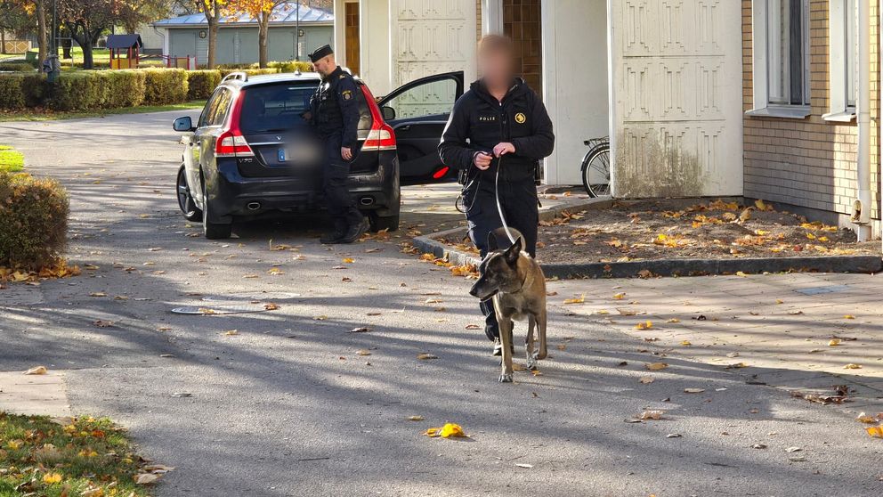 Poliser är på plats i ett bostadsområde och en av dem går med en hund i koppel. En annan polis står vid en bil som är parkerad med dörren öppen. Höstlöv täcker marken.