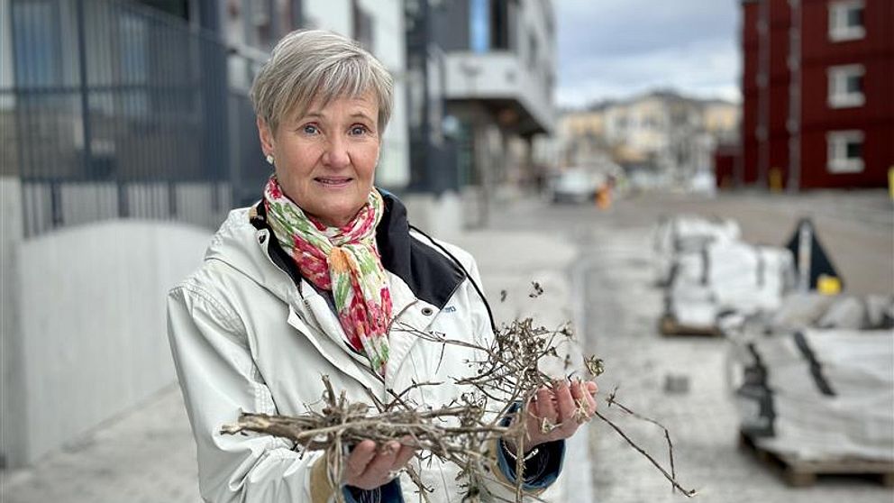 Margareta Eiserman miljö- och hälsoskyddschef på Hudiksvalls kommun håller i trädgårdsavfall