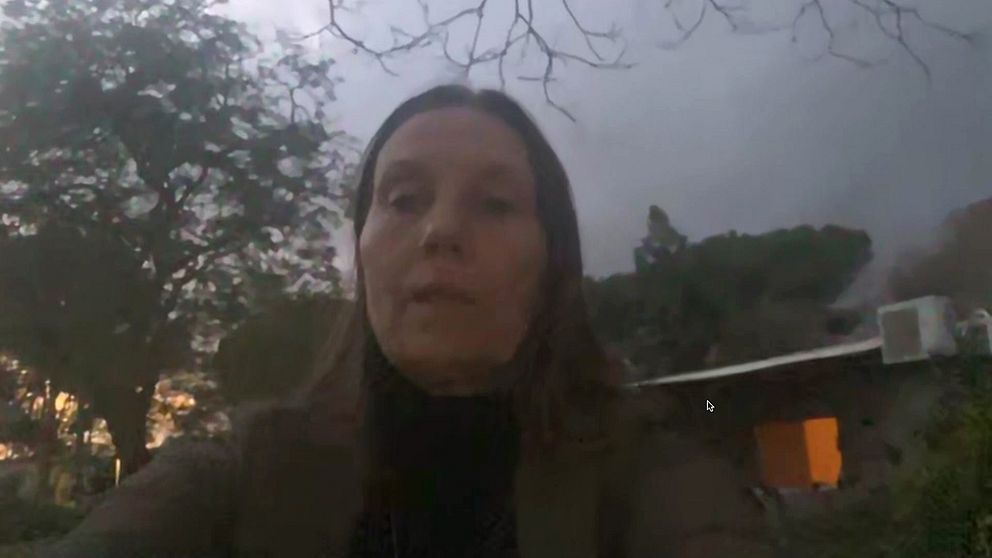 Träd och en byggnad i skymningen med tända fönster.