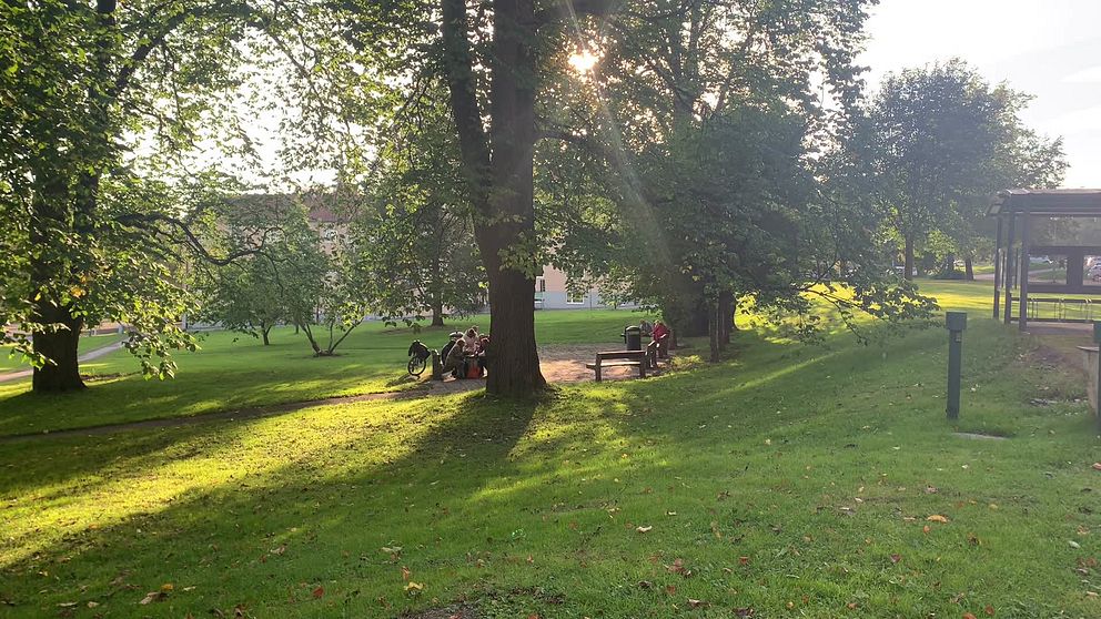 Parken vid Sundsvalls kommunhus där en alkoholzon inrättats.