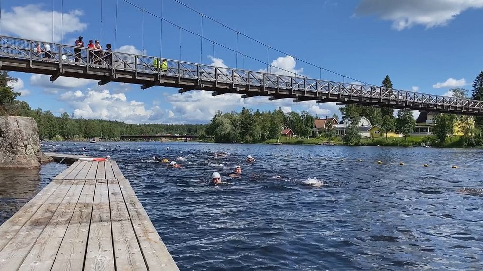 folk som simmar i öppet vatten under bro och med brygga till vänster