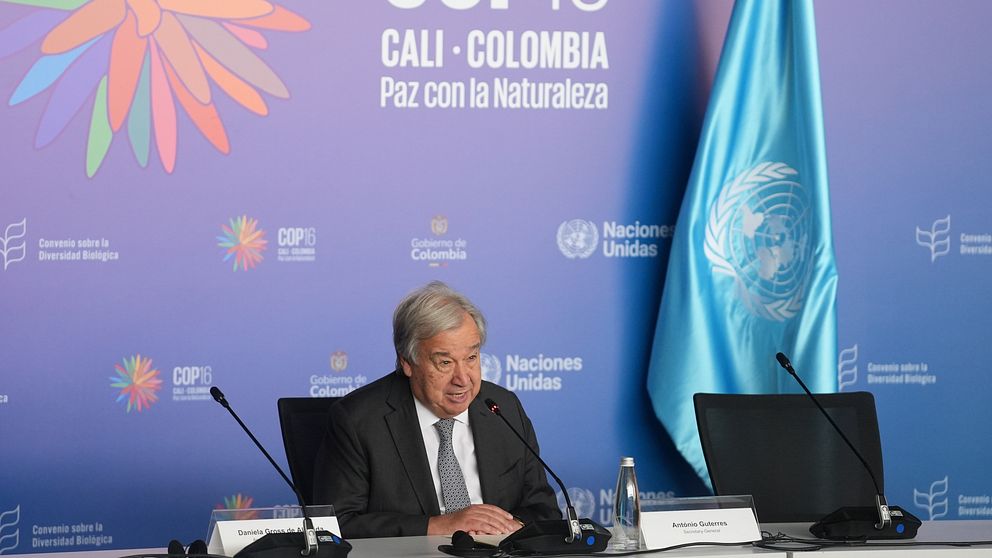 FN:s generalsekreterare Antonio Guterres under en presskonferens på COP16.