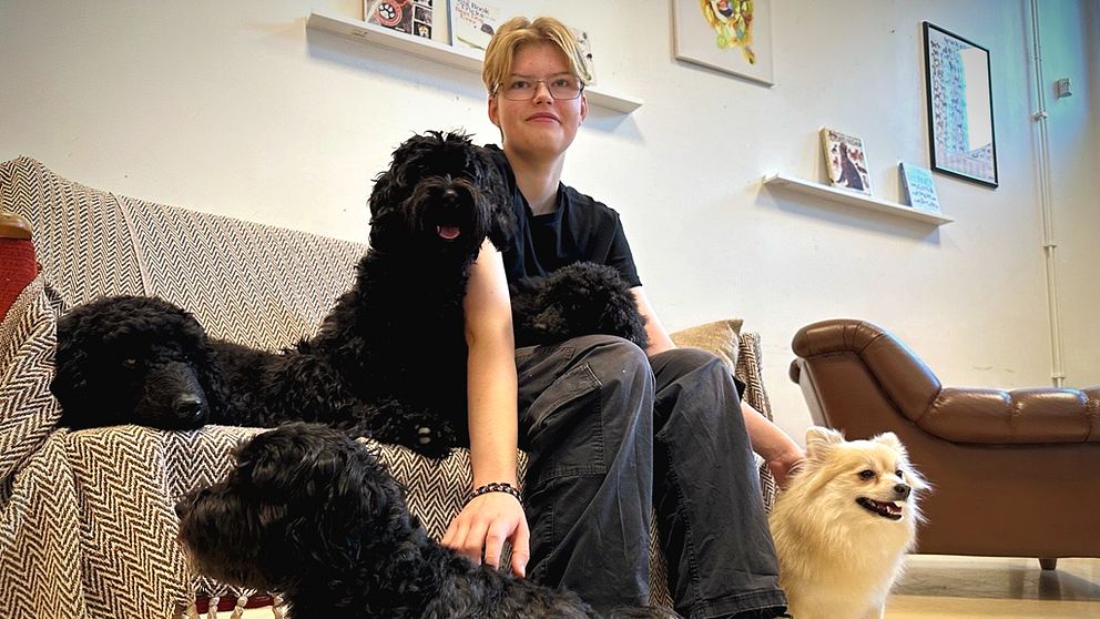 Simon sitter på en soffa omgiven av flera hundar, inklusive en svart hund som ligger över personens knä, en annan svart hund nära fötterna och en vit pomeranian i förgrunden.