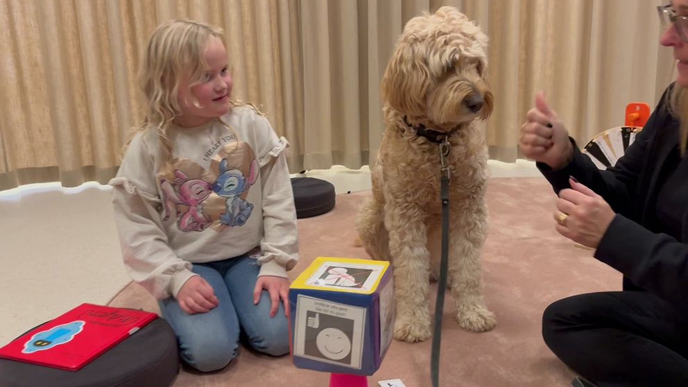 Aimie, 6, leker med läshunden Smilla på Karlshamns bibliotek tillsammans med en vuxen.