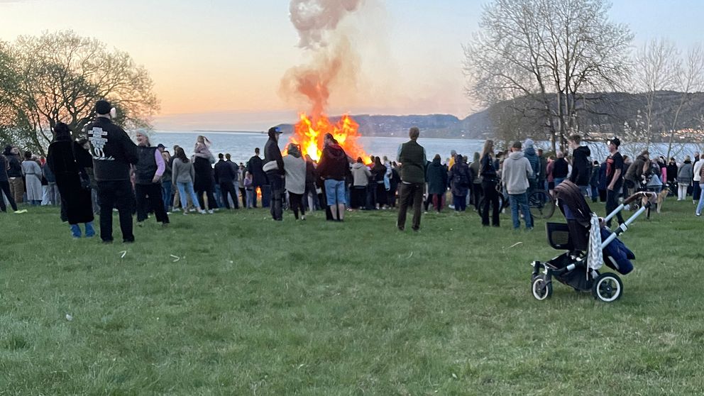 Folksamling på gräsfält vid sjö, folk ser på en stor valborgsbrasa i solnedgången.