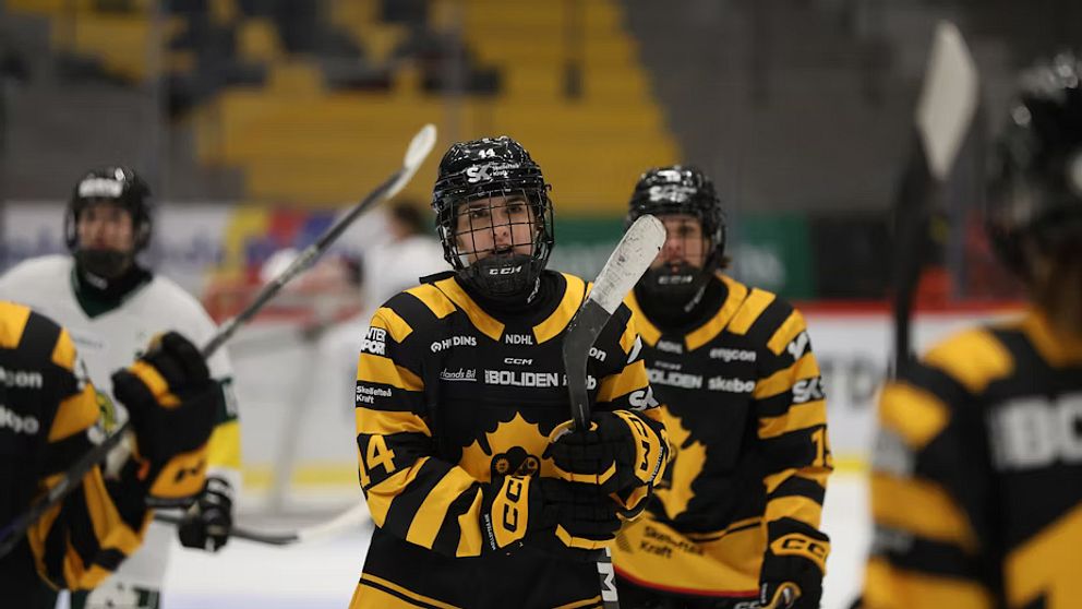 Skellefteå klart för SDHL