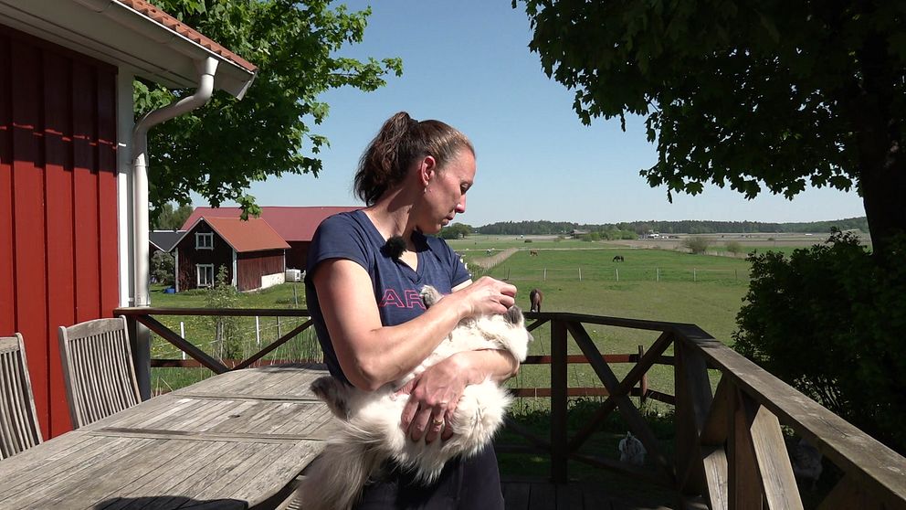 Kvinna på altan på landsbygden klappar katt