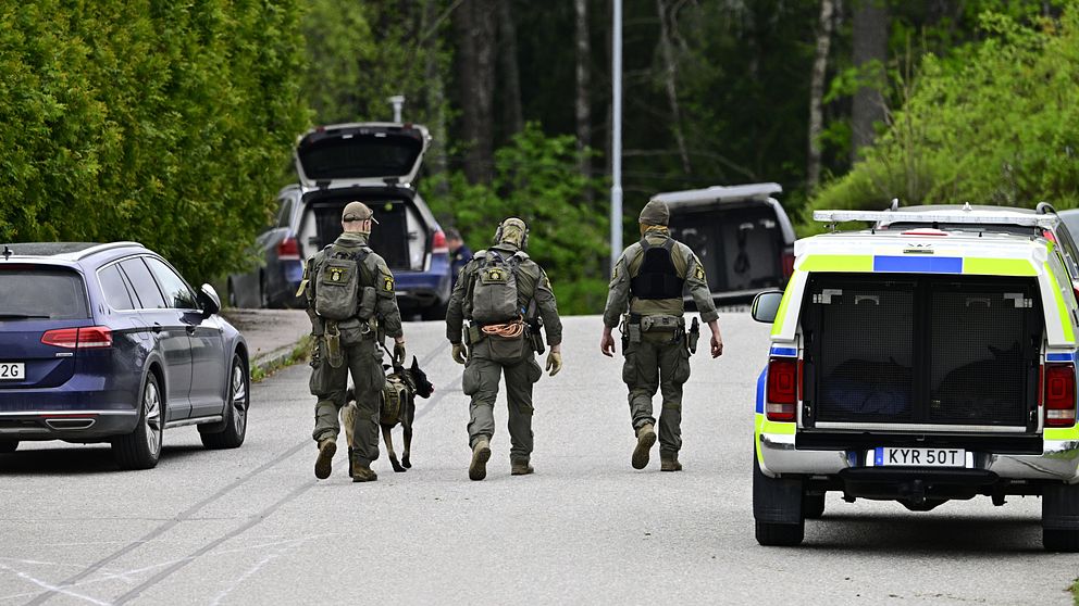 Tre tungt beväpnade poliser och en polishund patrullerar på en väg mellan parkerade bilar.