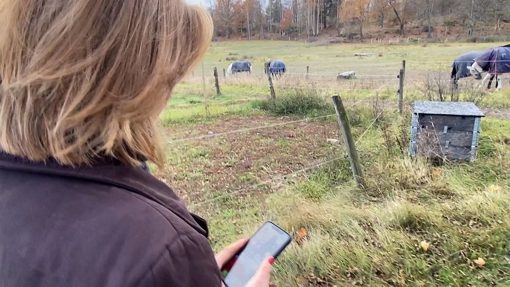 SVT:s reporter med mobiltelefon i hästhage