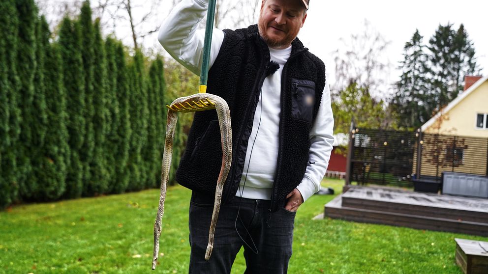 man med en kratta med en orm på i trädgård