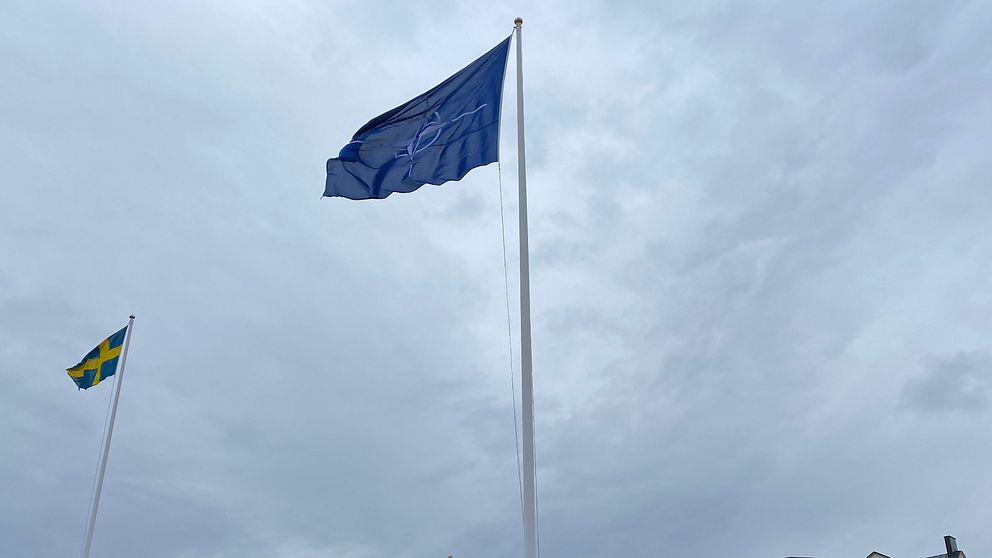 Natoflaggan vajar i vinden mot grå molnig himmel.