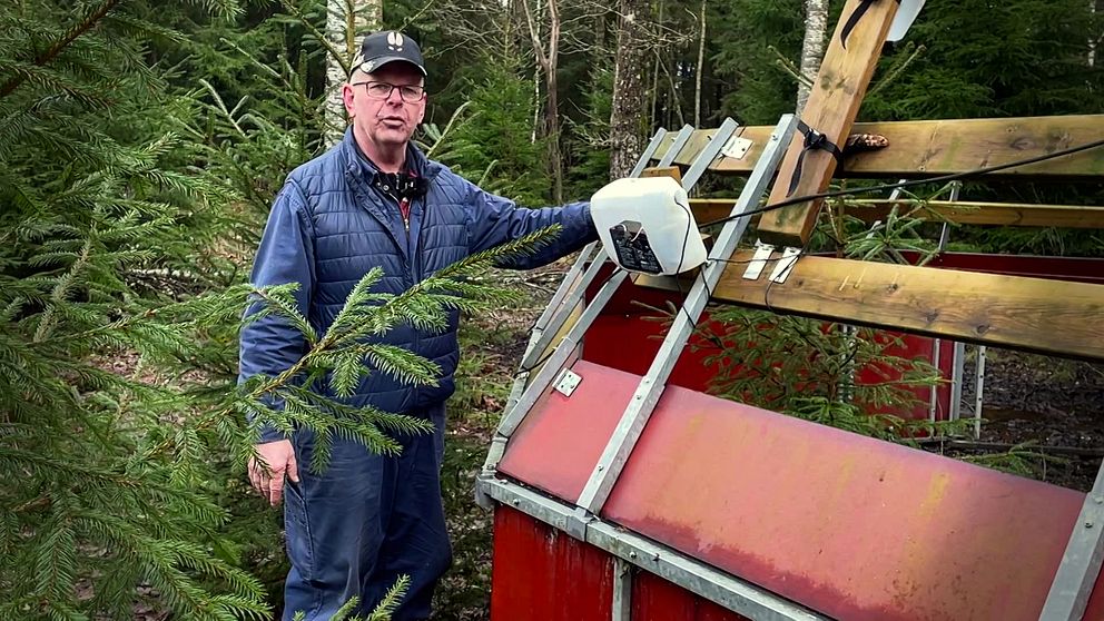 Bonden Gunnar Lidell vid vildsvinsfällan i Vänersborg