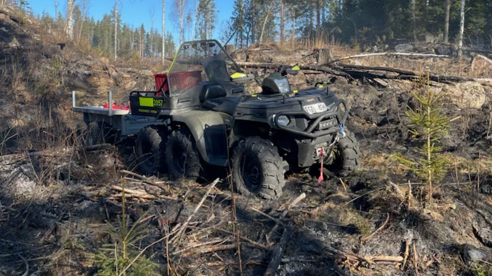 Terränggående fyrhjuling i skogsmiljö under klart väder.