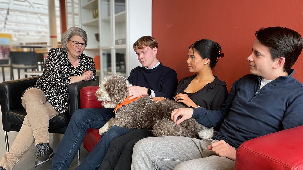 Hunden Malte sitter med kuratorn Petra Birgersson och tre elever på Akademi Båstads Gymnasium.