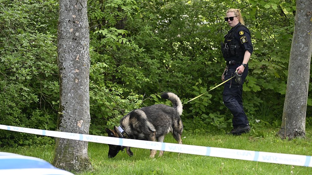 Polis på plats med hund vid en villa på Rosengård i Malmö efter att ett misstänkt farligt föremål påträffats på lördagsmorgonen.
