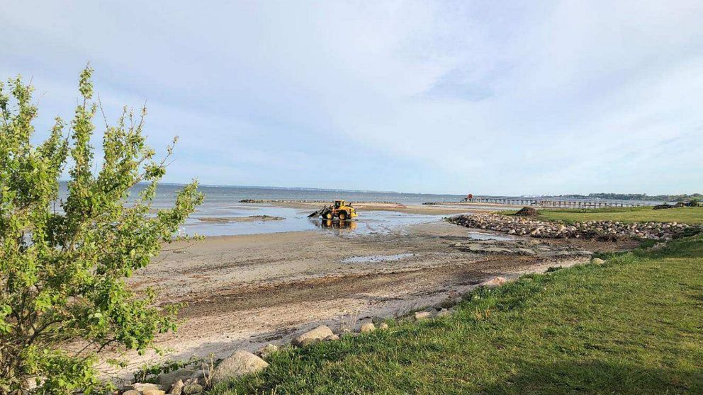 En traktor hämtar sand ur vattnet vid Borstahusen i Landskrona.