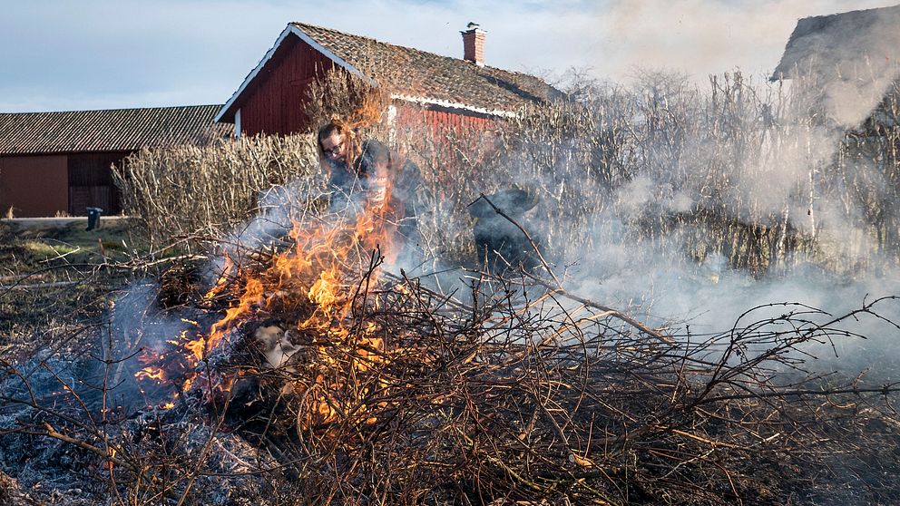 Man bränner grenar framför ladugårdar i lantlig miljö. Rök stiger från elden.