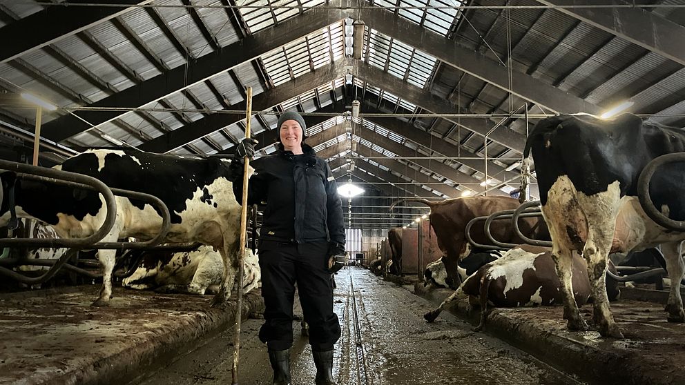 Ann-Britt Bergqvist, årets djurskötare står i en ladugård med kossor på Frösön.