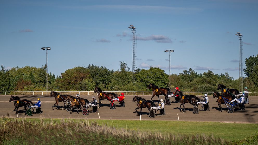 Kuskar och hästar efter målgång i travloppet lopp 8 v75.