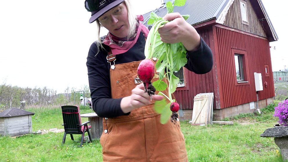 Linnea Lundkvist håller upp rädisor som hon odlat i Kirunas fjällvärld.