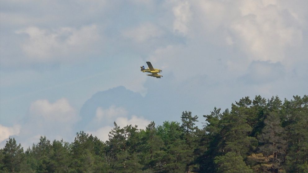 vattenbombande flygplan i luften över en skog