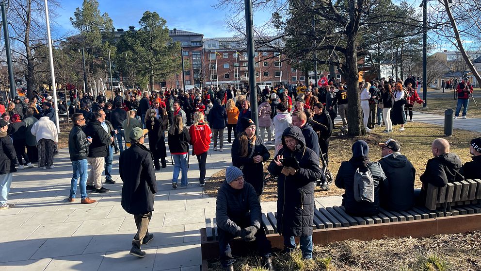 Stor folkmassa samlad i en park under klarblå himmel, flera personer sitter på bänkar.