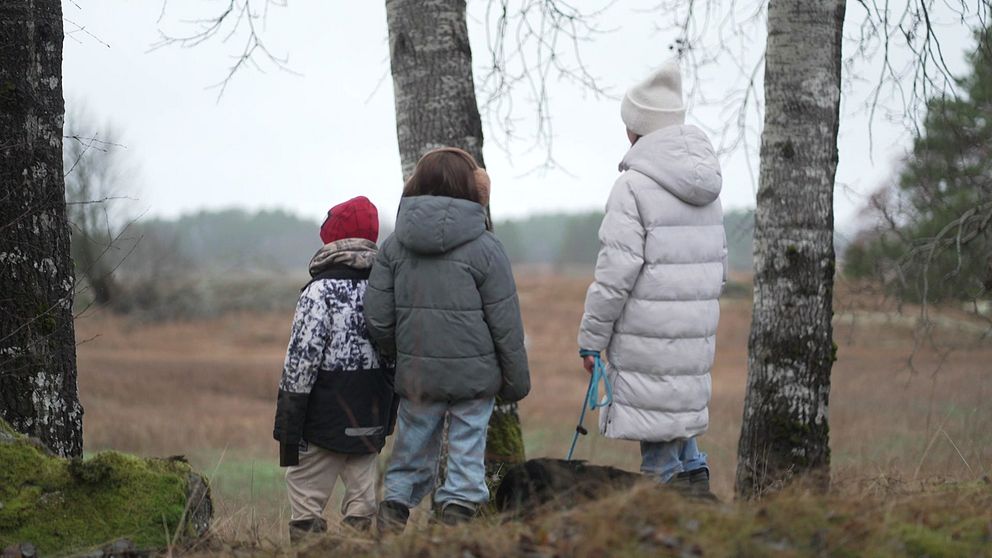 Tre barn i vinterkläder står vid träd och tittar ut över ett öppet landskap.